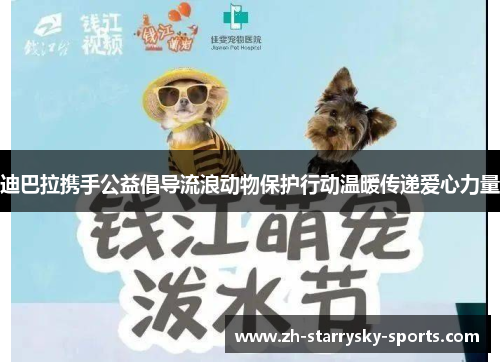 迪巴拉携手公益倡导流浪动物保护行动温暖传递爱心力量